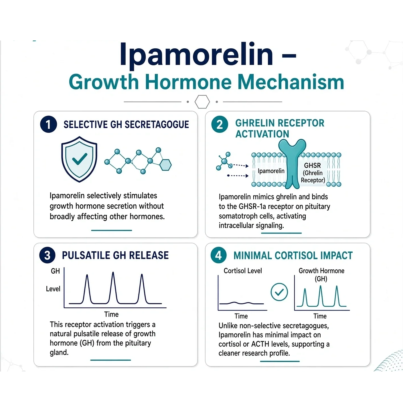 ipamorelin mechanism ghrelin The Growth Stack Best Glutathione Cream for vials Size:Pack of 3 (100g x3)