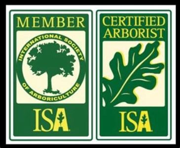 International Society of Arboriculture member and certified arborist logos.