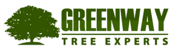 Greenway Tree Experts