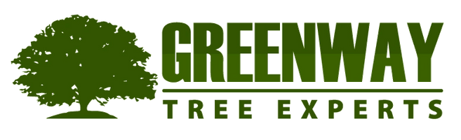 Greenway Tree Experts