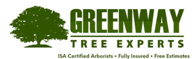 Greenway Tree Experts