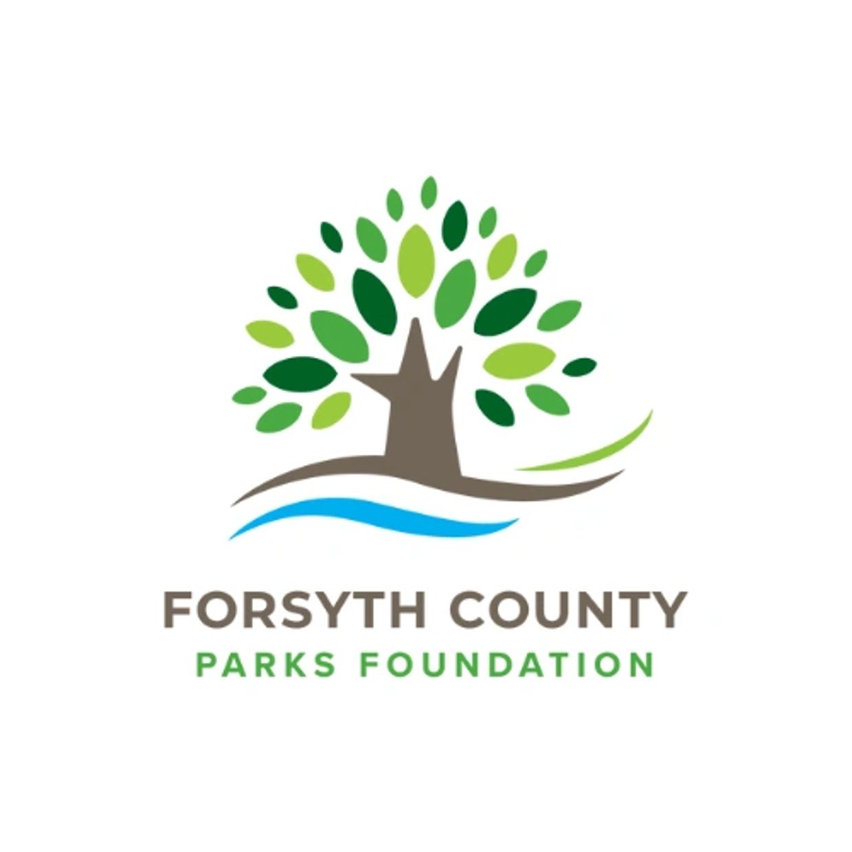 Logo of Forsyth County Parks Foundation with a stylized tree and green leaves.