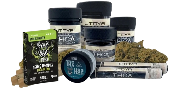 THCa flower vapes hash pre-rolls 