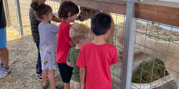 Homeschool Animal Tour 