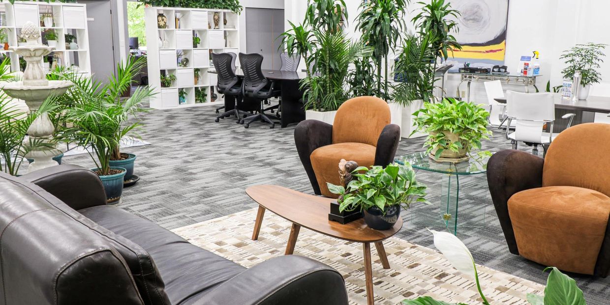 calming atmosphere, quiet reflection, ample seating, open spaces, natural light