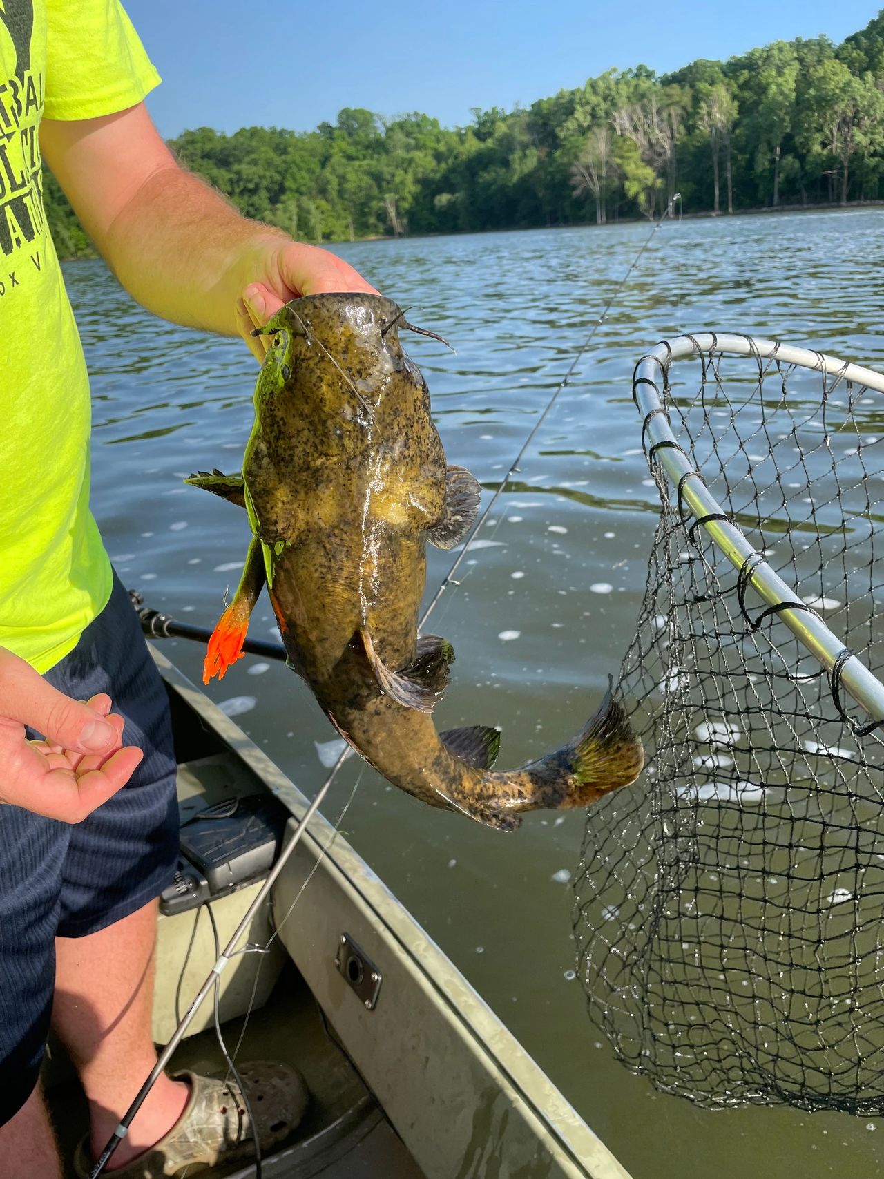 Top Fish To Catch In Wisconsin