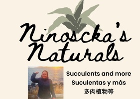 ninosckasnaturals.com