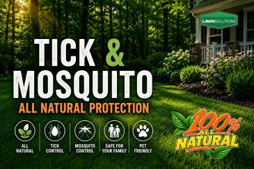 Advertisement for natural tick and mosquito control solutions.