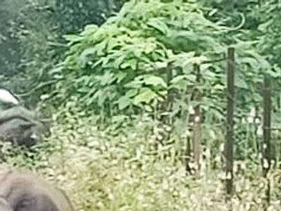 ecoplanet forest gardening  in Raigad, Maharashtra
