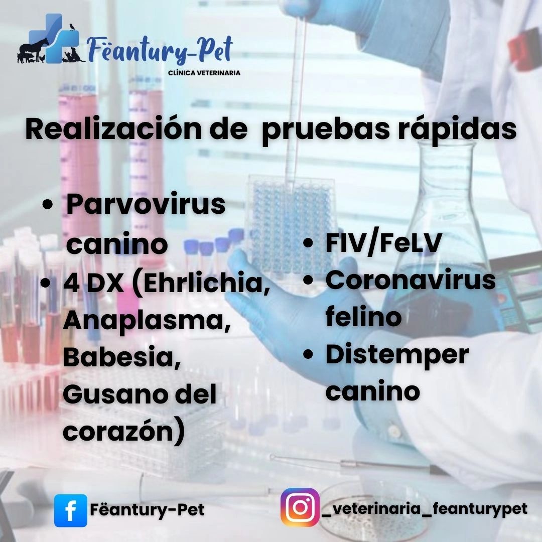Pruebas rápidas veterinarias para varias enfermedades caninas y felinas.