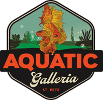 Aquatic Galleria