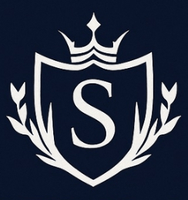 MATTHEW G STEEL LLC