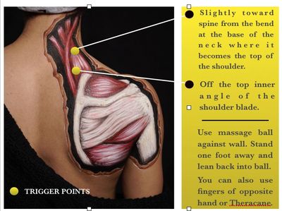 Anatomical trigger points on shoulder muscles with massage instructions.