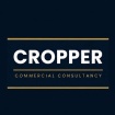 cropperconsultancy.com