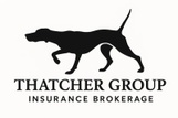The Thatcher Group