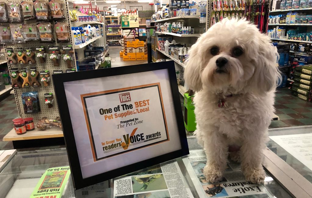 Dog & Cat The Pet Zone