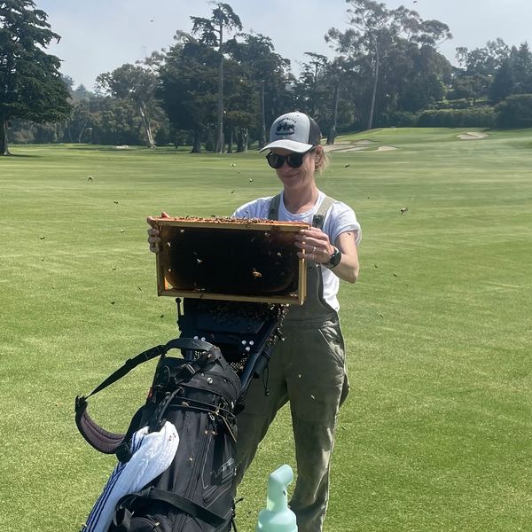 A swarm landed on a golfers bag during their game