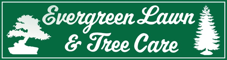 Evergreen Lawn & Tree Care, Inc
