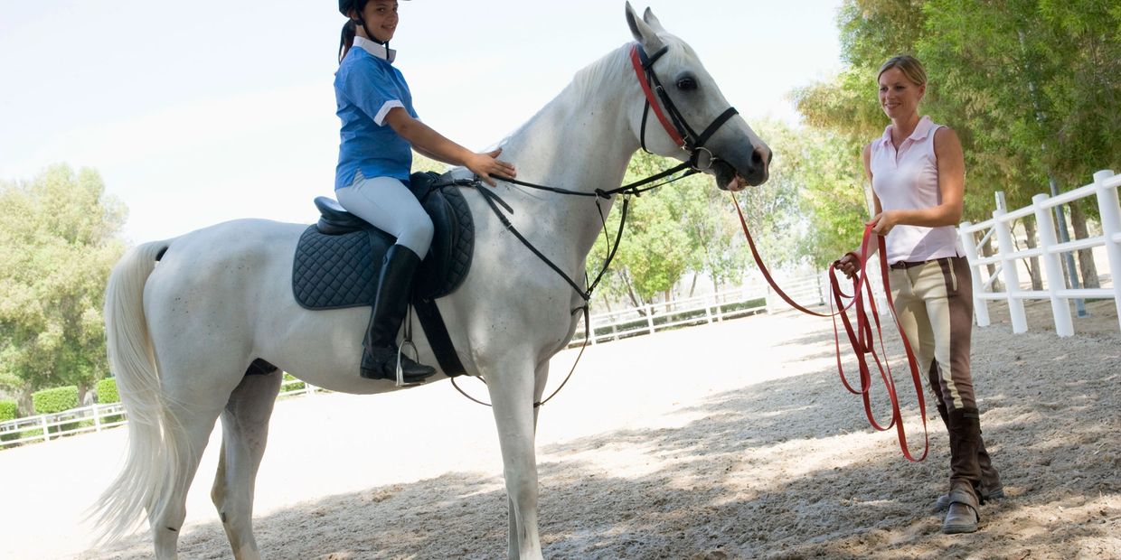 Jersey Equestrian Instructors and Trainers