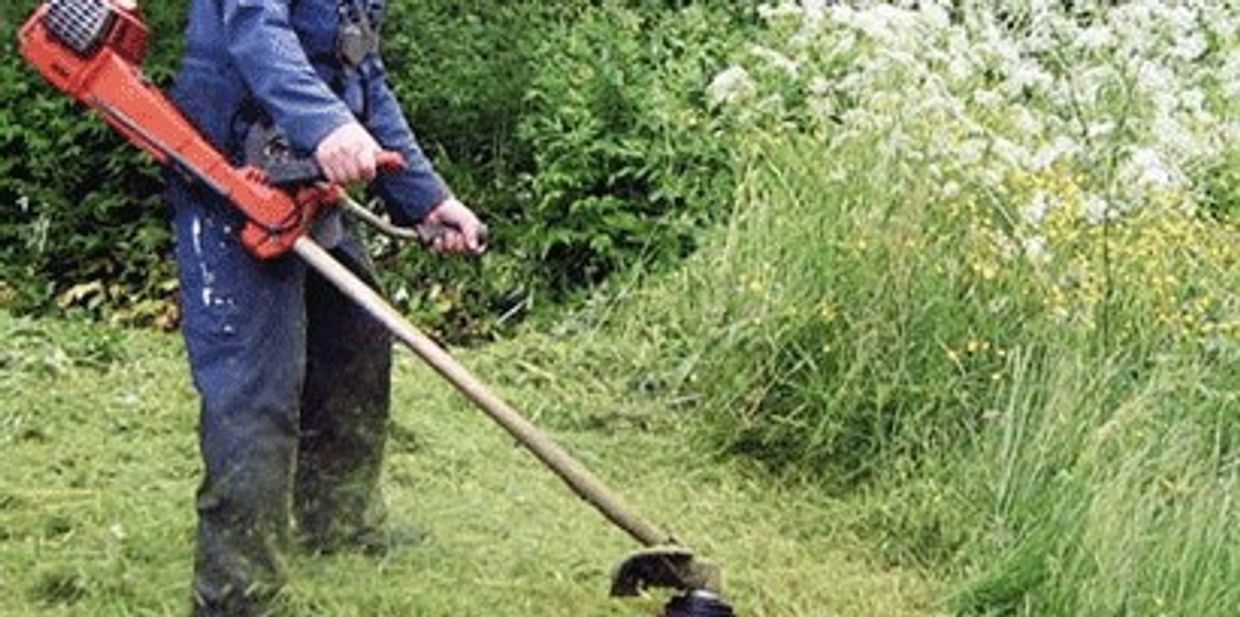 Jersey Equestrian Hedge Field Trimming