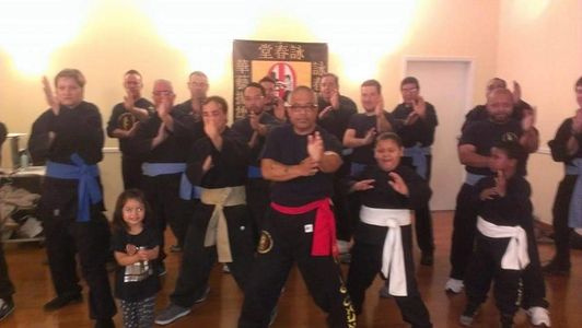 20+ years trianing in Tradional Wing Chun