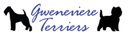 Welcome to Gwenevier Terriers