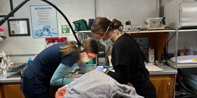 Two medical professionals examine a patient in a clinical setting.
