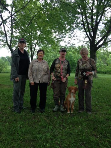 CKC Senior Hunter title