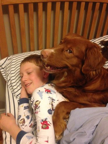Putting my boy to bed - Maverick