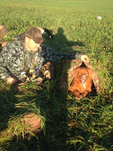 Hunting with Toller - Field Hunting with Maverick