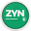 ZYN