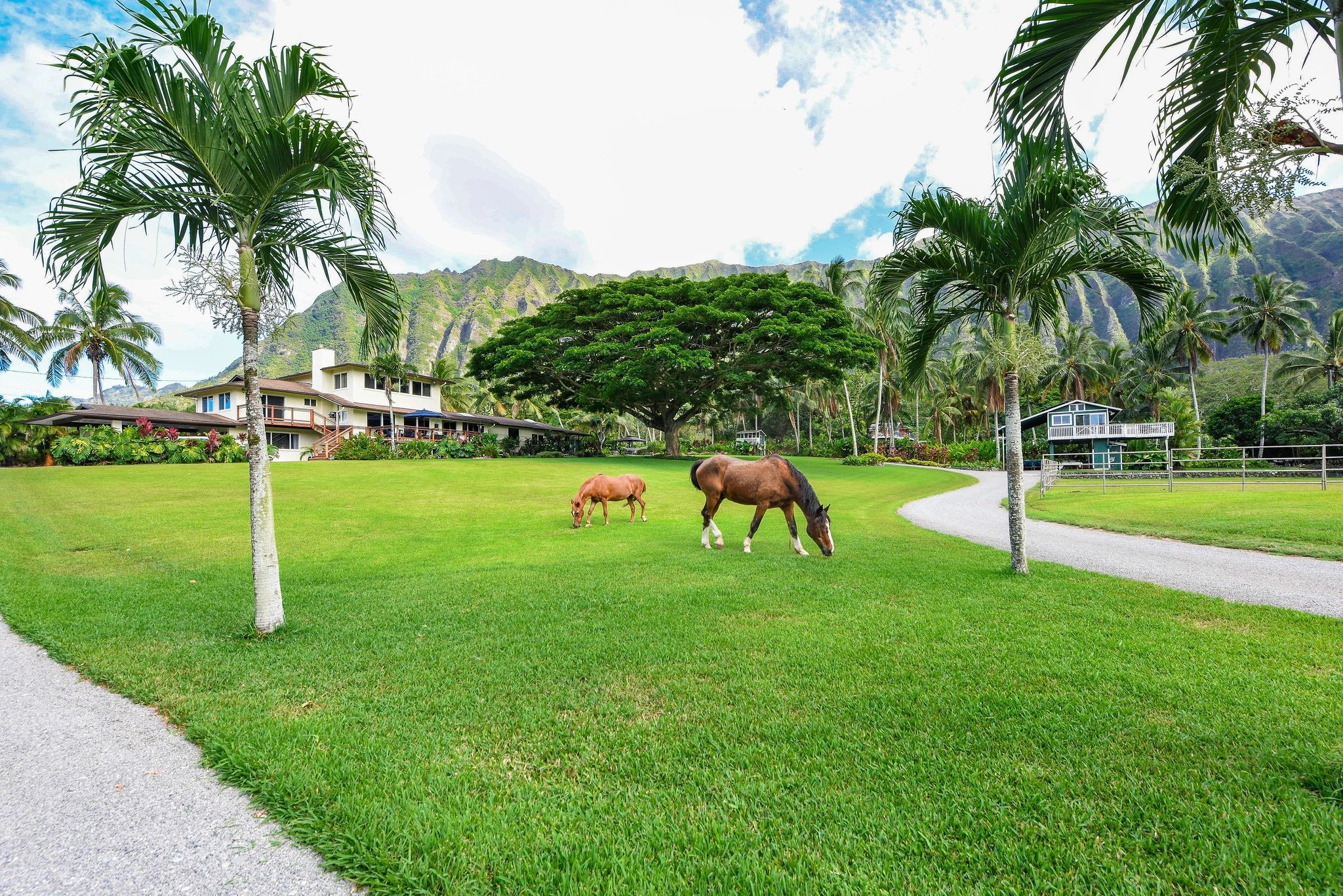 Open Palms Plantation