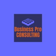 Business Pro Consulting