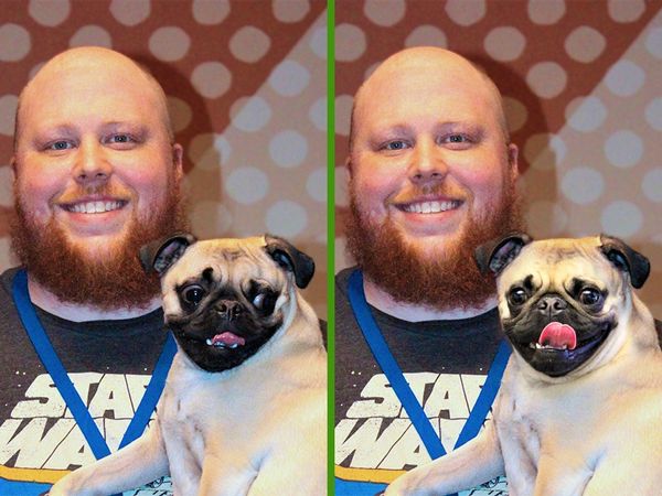 Two side-by-side photos of a smiling man with a pug showing different tongue positions.
