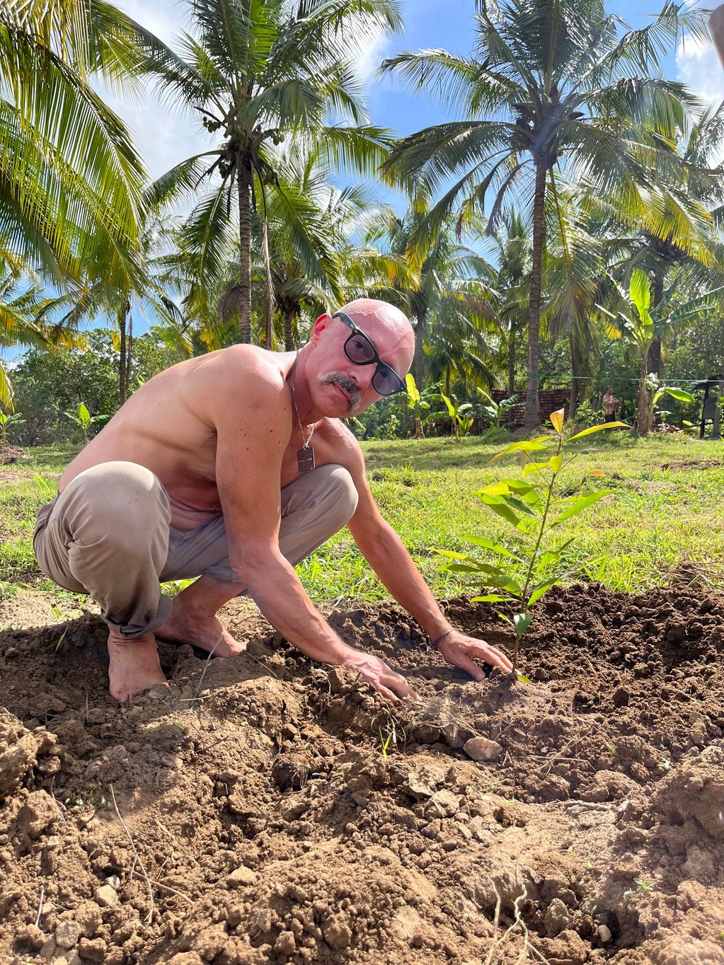 He is Planting Mee Tree at Avadiya 