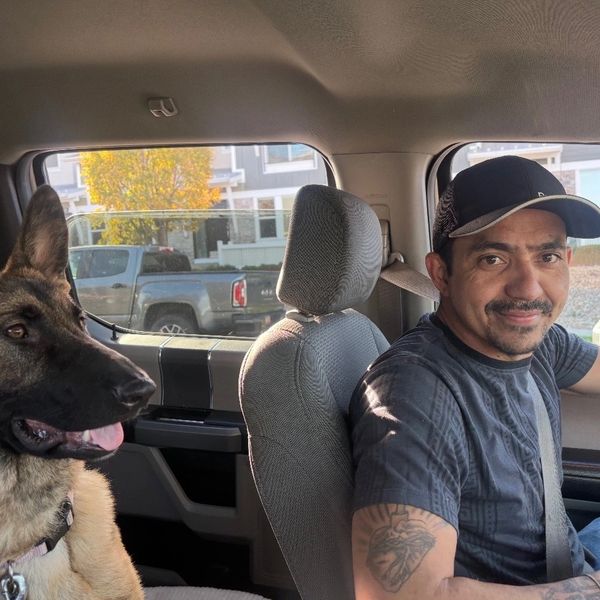Man driving a car with a German Shepherd dog in the passenger seat.