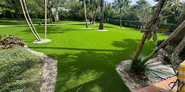 A lush green lawn with palm trees and a tiled patio under a sunny sky.