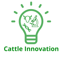 Cattle Innovation LLC