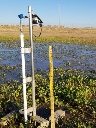 Water level sensor installed in a muddy field with vegetation.