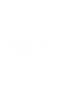 Bird & Wolf Specialty Coffee Roastery