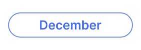 Blue-outlined button with the word December.