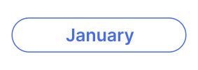 Blue outlined button with the text January.