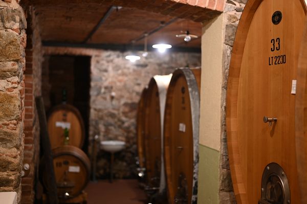 oudste vaten van wijnhuis