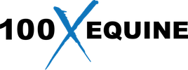 Blue stylized letter X on a white background.