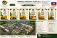 Mango prestige Haiti s.a