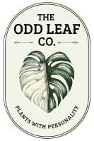 The Odd Leaf Co. 