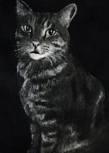 Black and white charcoal drawing of a cat named Jasper.