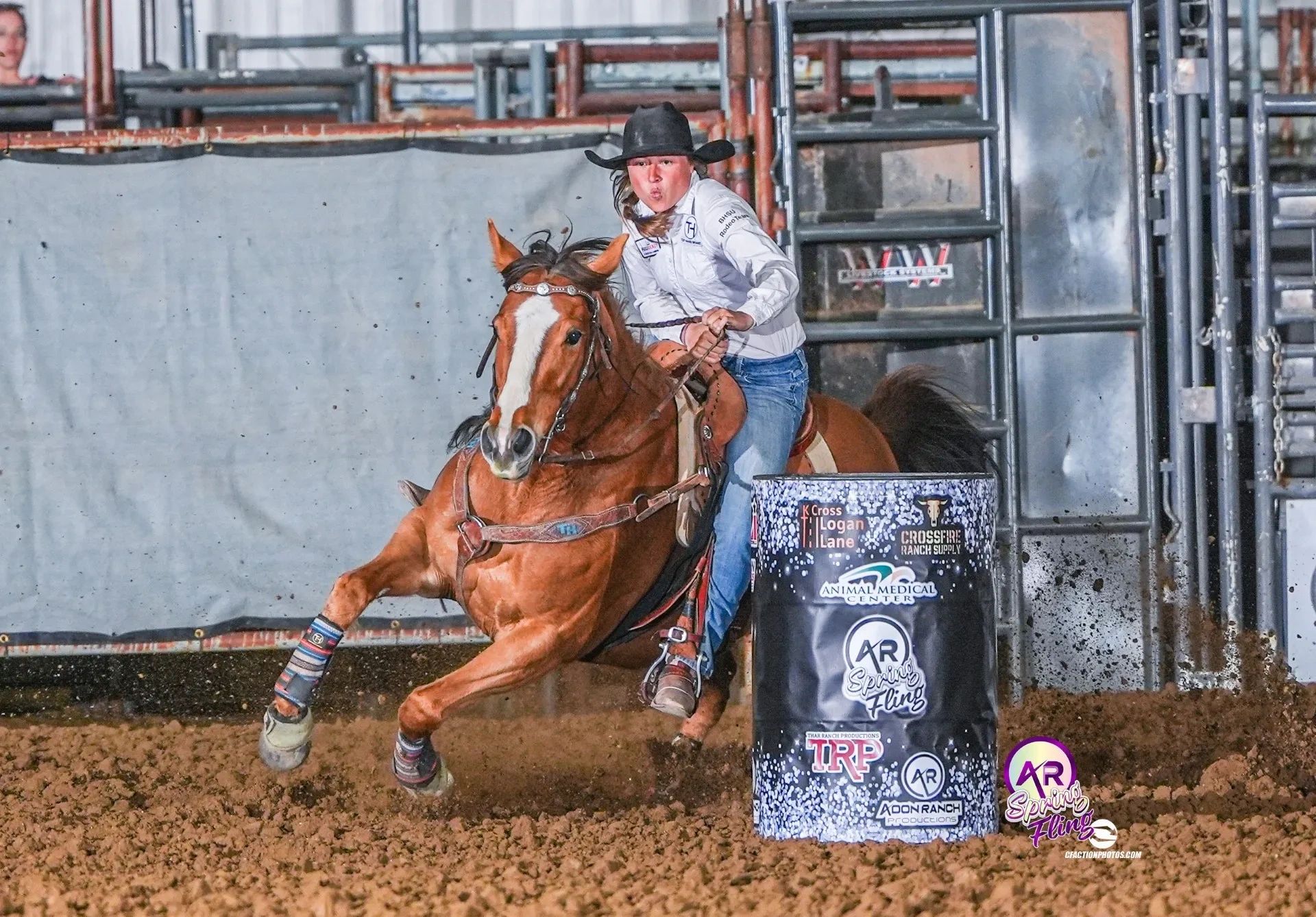 Harleys Little Cutie