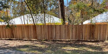Cedar privacy fence