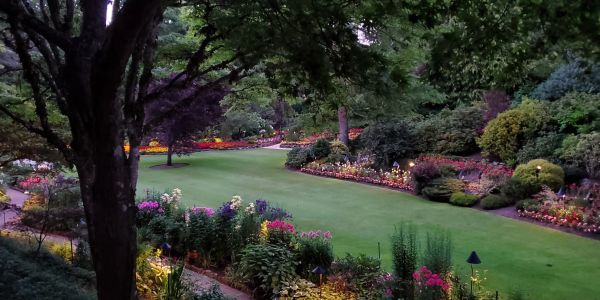 Peaceful garden with vibrant flowers and lush greenery.